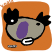 kkoala.jpg
